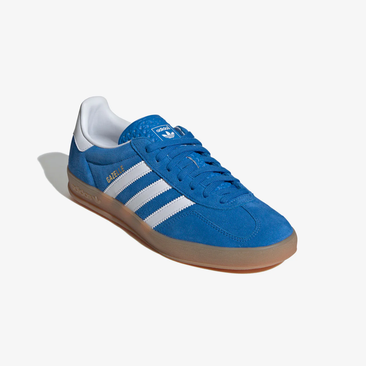Gazelle Indoor - Image 5