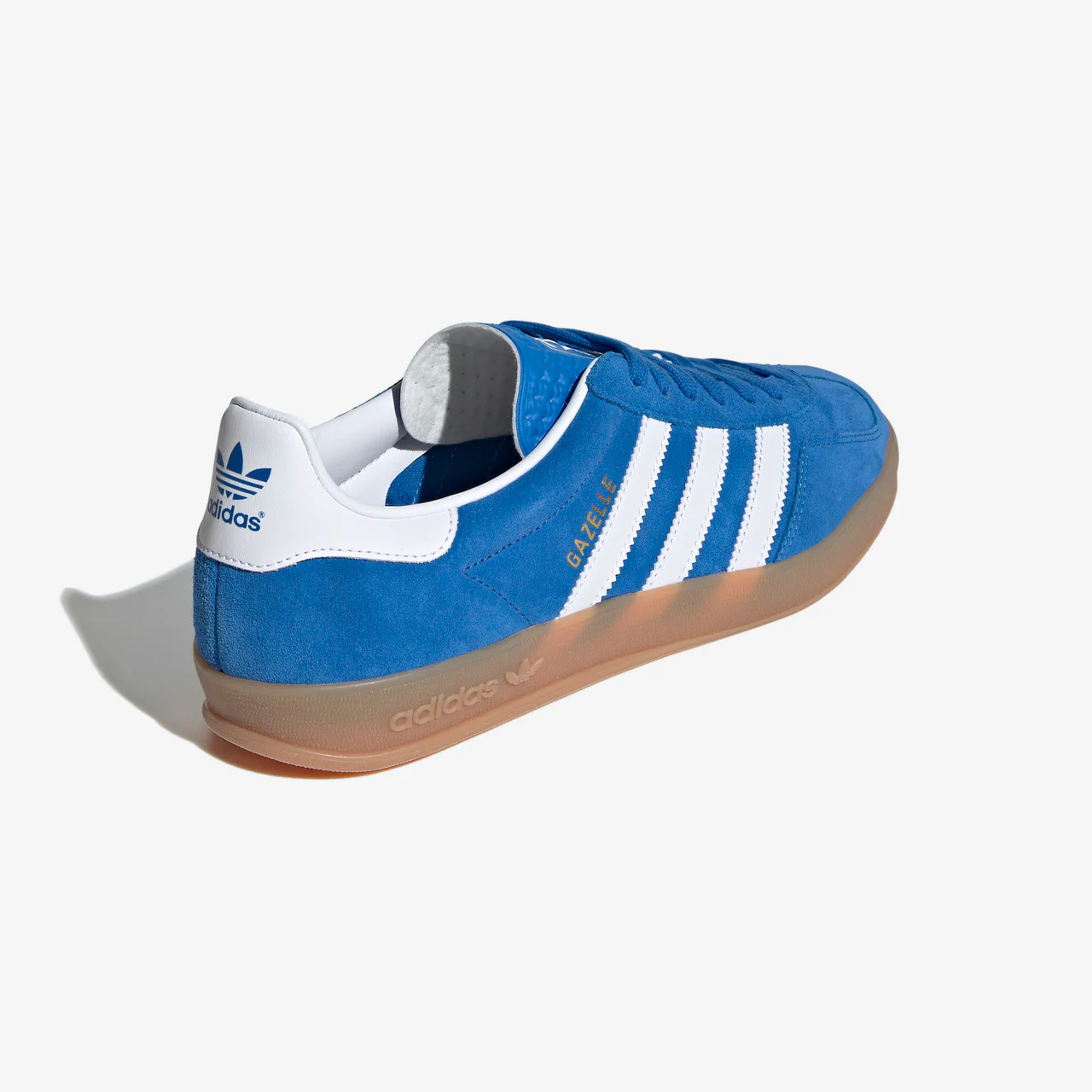 Gazelle Indoor - Image 6
